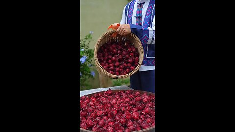 Bumper Roselle Harvest | Sweet & Sour Homemade Roselle Preserves – Naturally