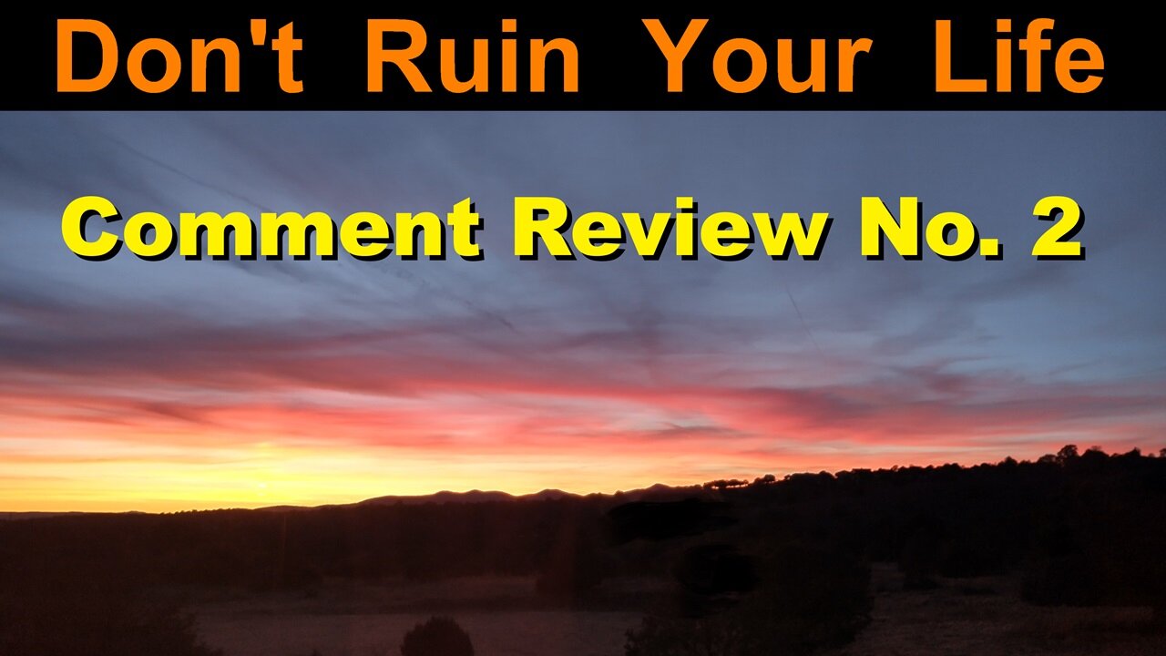 DRYL Comment Review No. 2