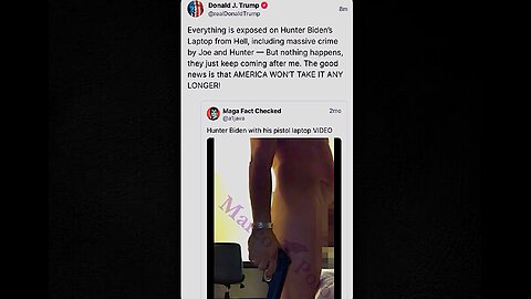 Hunter Biden and His Gun