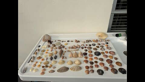 Beach Finds 1/12/2026 | 4K