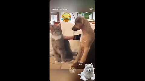 Love All Life Always #291 - LOL!Dogs Mirroring Their Owners Is Hugely Entertaining 🤣🤣