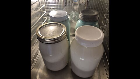 Fresh Homemade Yogurt! Step by Step Instructions.