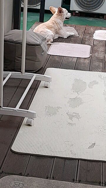 20251016. God Is Love.