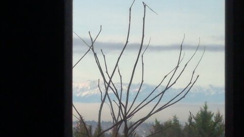 Mountain Views from Bellevue College Welcome Center.. I am taking business