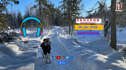 Skogpod 26. januar 2026