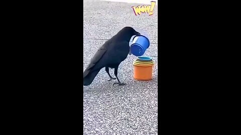 Crows are more intelligent than globalists