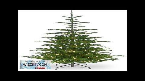 National Tree Company 'Feel Real' Pre-lit Artificial Christmas Tree Includes Pre-strung Review