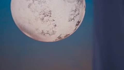 Daily Horoscope | Sagittarius 🌟