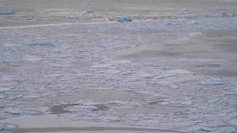 Why does Trump want the US to control Greenland?