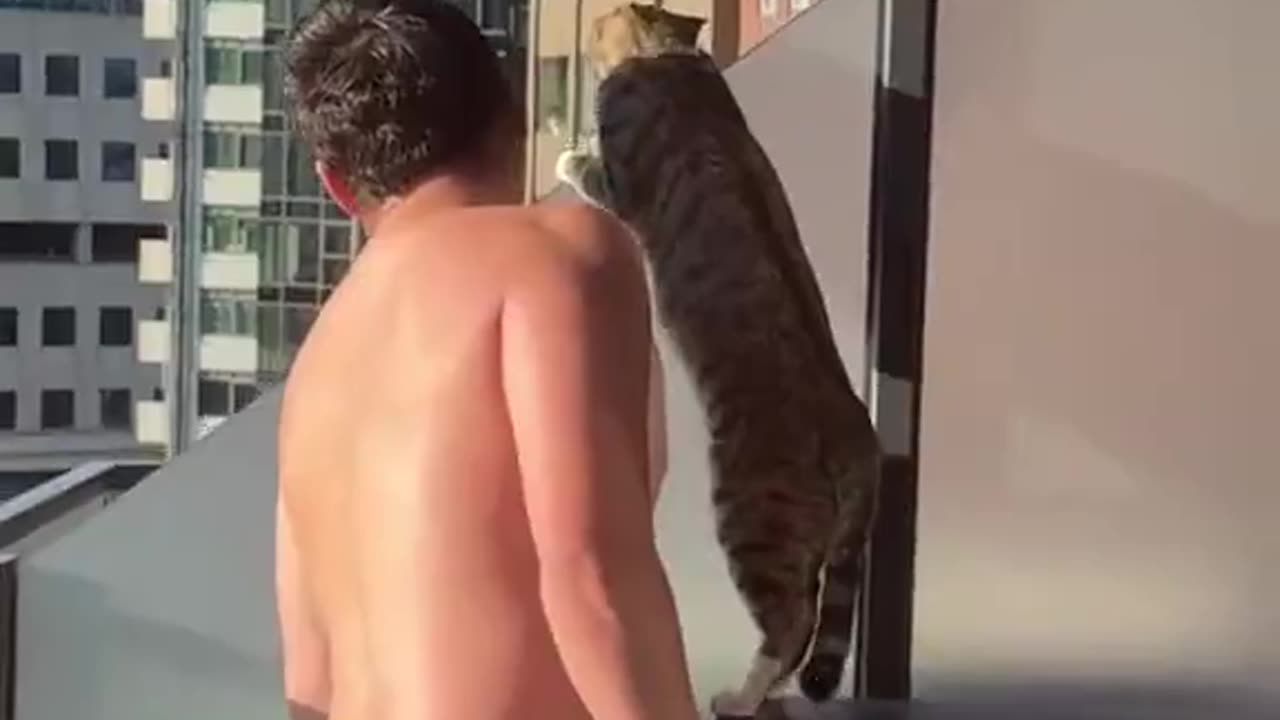 When the neighbours are arguing👀😂