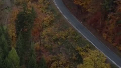 🙏📖 Today's Prayer | A Heartfelt Prayer for Divine Guidance | InGodWeTrustDaily