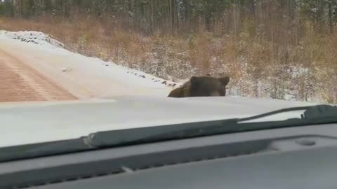 Don’t pick up any hitchhikers