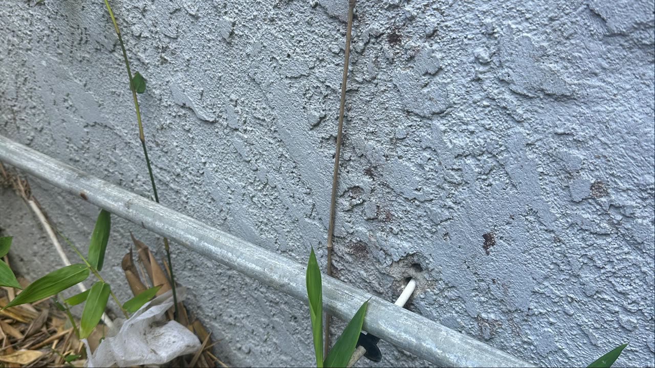 Live from Rumble Studio