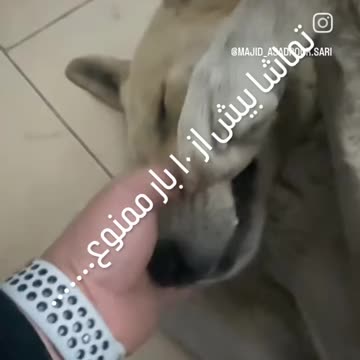 خوشگل ترین تنبیه دنیا