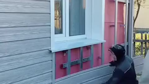 Отделка оконных откосов, зашивка цоколя и фасада сайдингом.