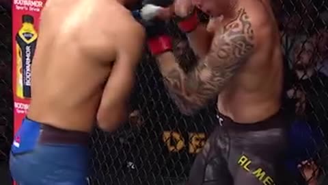 UFC Debut Champions | Fighters Who Won Titles Early