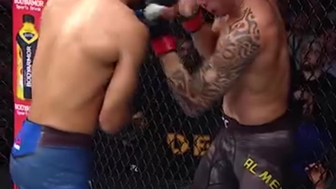 UFC Debut Champions | Fighters Who Won Titles Early