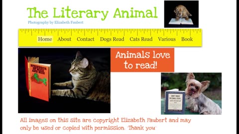 Elizabeth Faubert The Literary Animal