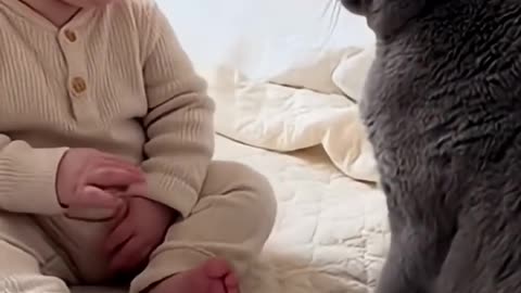 cute funny video baby with cute cat