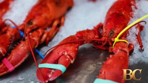 $400,000 worth of lobster stolen en route to Costco stores