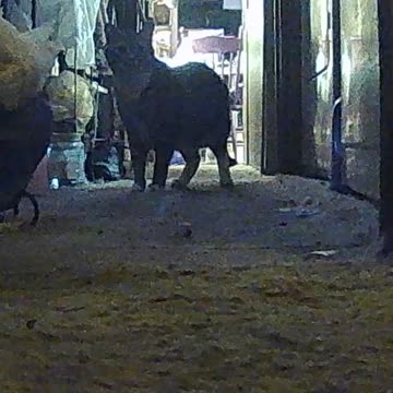 EA S193 - FOUND HER!