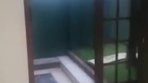 Real ghost sighting in South Africa