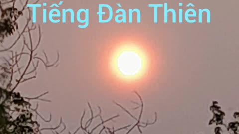 tiếng đàn thiên ( hội long hoa )