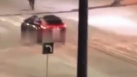 Police dog mixing some play while at work 😂