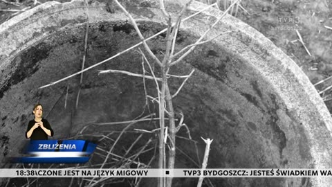 Zbliżenia HD TVP3 Bydgoszcz 7.02.2025