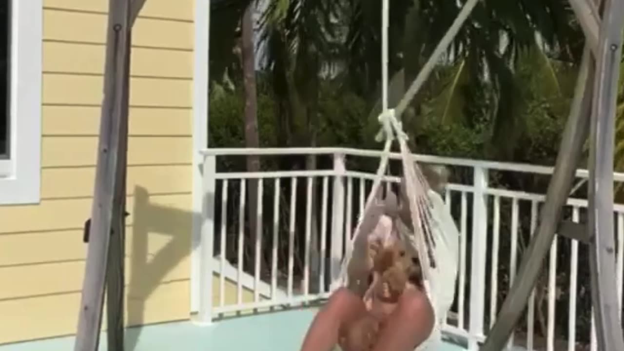If you laugh you restart 😂😂🤣 #viral #shorts #fails #funny #fail