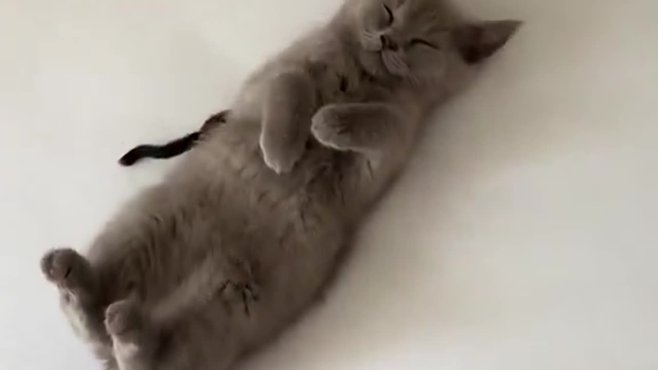 My shaylaa🥺❤️