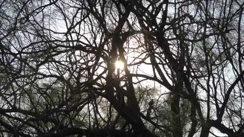 A Journey Through The Kidron Valley