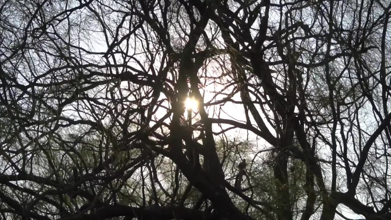 A Journey Through The Kidron Valley