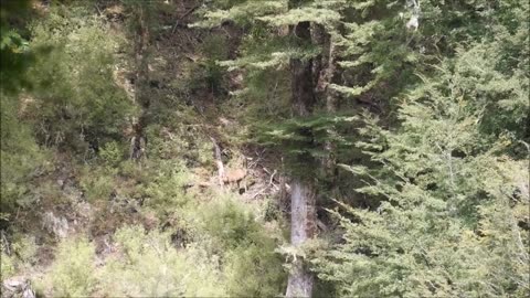 Bow hunting trip