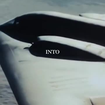 USA Department of War gives a very clear warning to Nigeria