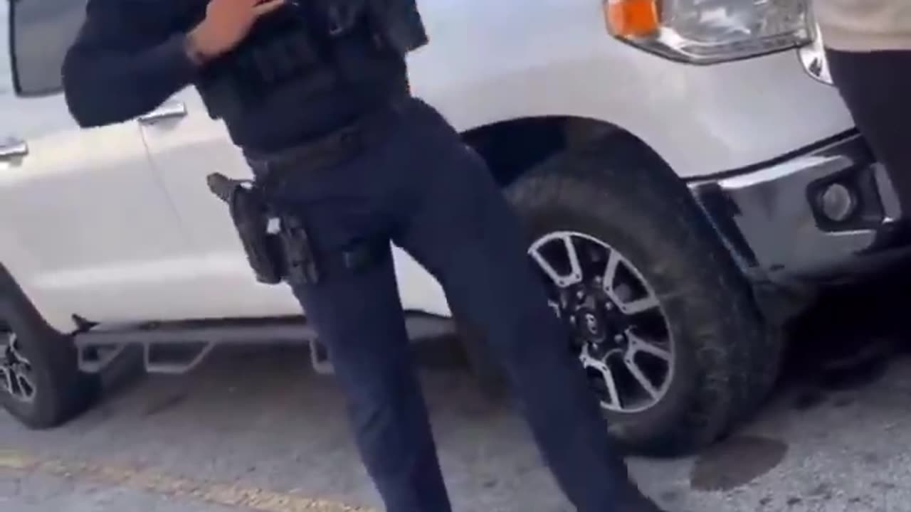 Man gets into a physical altercation with a police