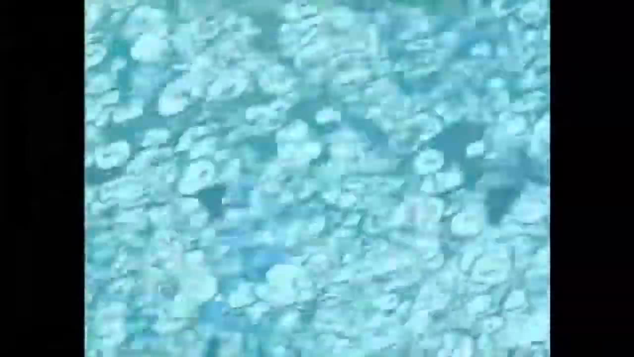 Spongebob's Meteor of Snowballs: A Prequel to Patrick's Snowball Tragedy for 10 Hours (20fadhil)