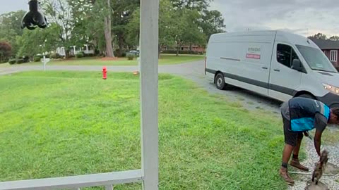 Singing Amazon Delivery Driver Stops To Pet Cat Named Squirrel