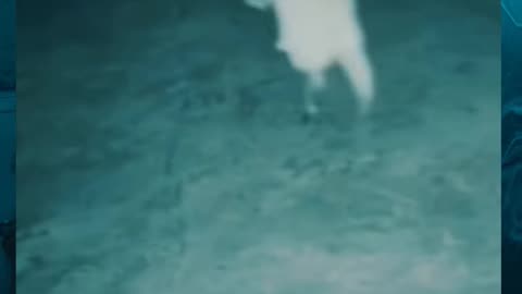 😱👻 OMG, Demon or Poltergeist? Watch and Decide! | TheHauntingHour