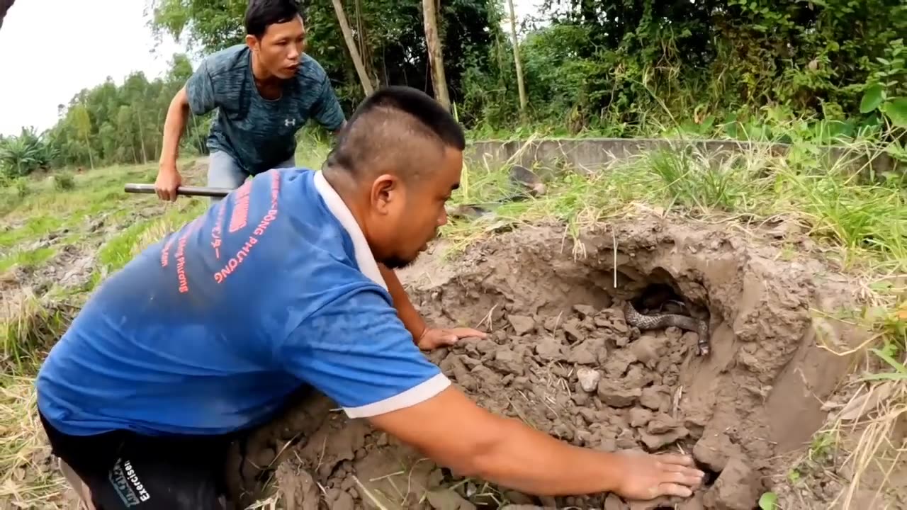 Find Group of snake 🐍