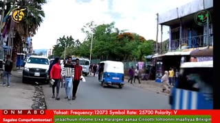 Oduu Galgala ONM-ABO Onkoloolessa 11-2025 itti dhiyaadhaa!