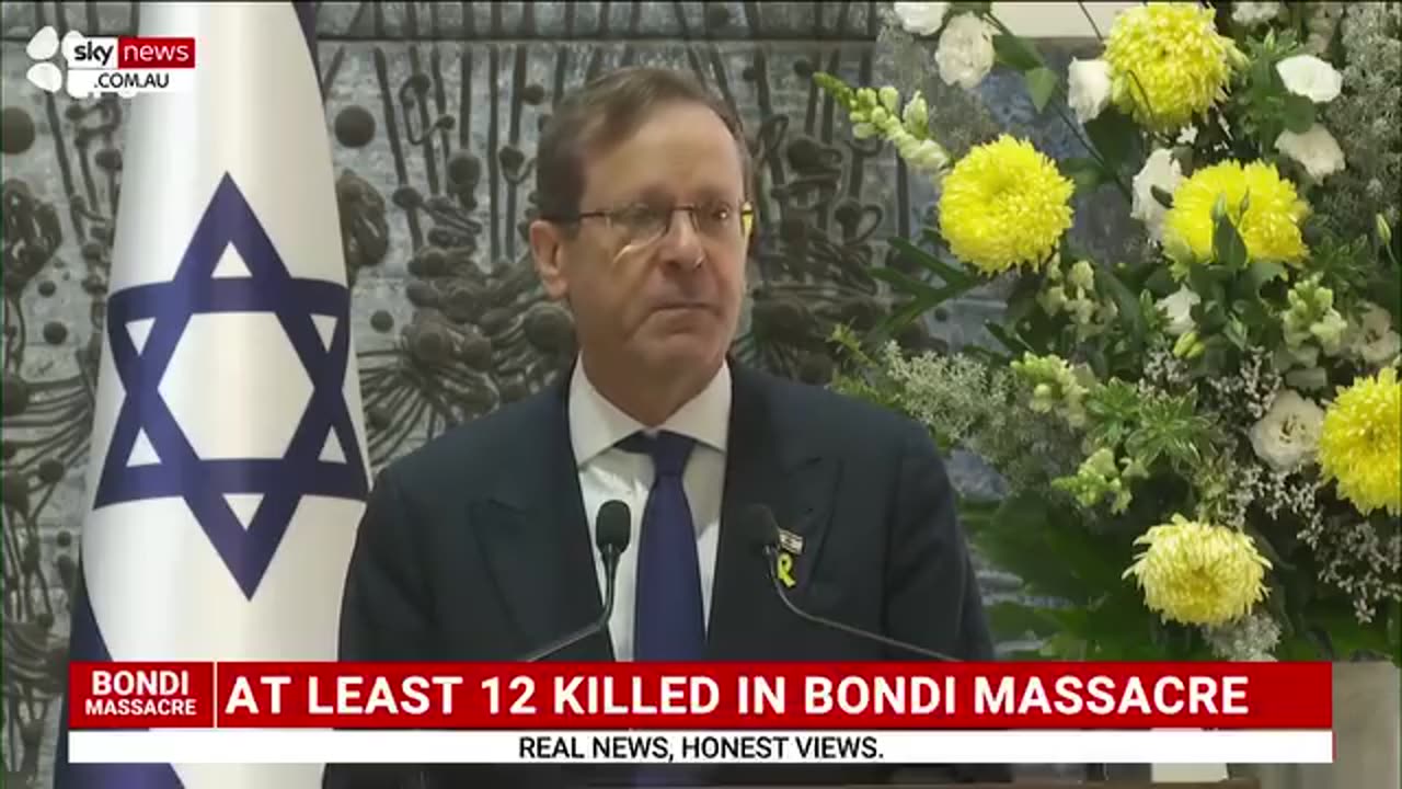 Toady BREAKING NEWS 🤯