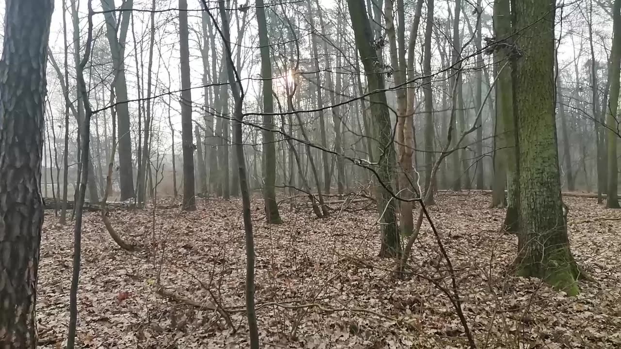 po co mi TO ??