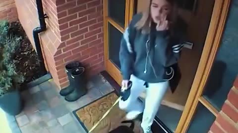 Dogs Doing Too Much