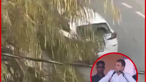 Widow Dragged on Car Bonnet for 1 Km in Sonipat, Attack Caught on Camera