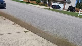 HOA: ‘Your Driveway Looks Unseemly!’ Me: BRRRRRRT 🌱😂