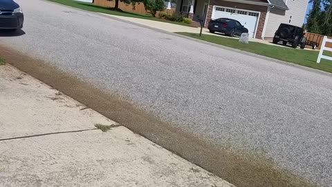 HOA: ‘Your Driveway Looks Unseemly!’ Me: BRRRRRRT 🌱😂