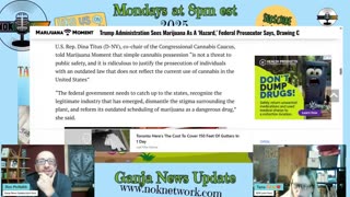 Ganja News Update Ep 146 - November 24th, 2025
