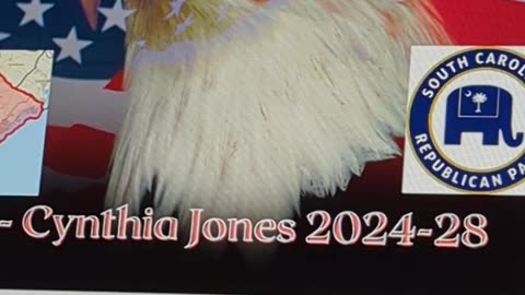 SCGOP Uniparty Nullification of Congressional District 1 Election of Chair Jones