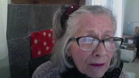 MERRY CHRISTMAS YA' FILTHY ANIMALS! TINA PETERS IS INNOCENT!